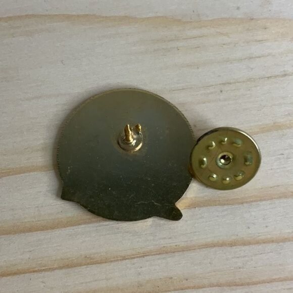 Blue Ridge Mountains Of Virginia Cardinal Pin Badge - Picture 3 of 3